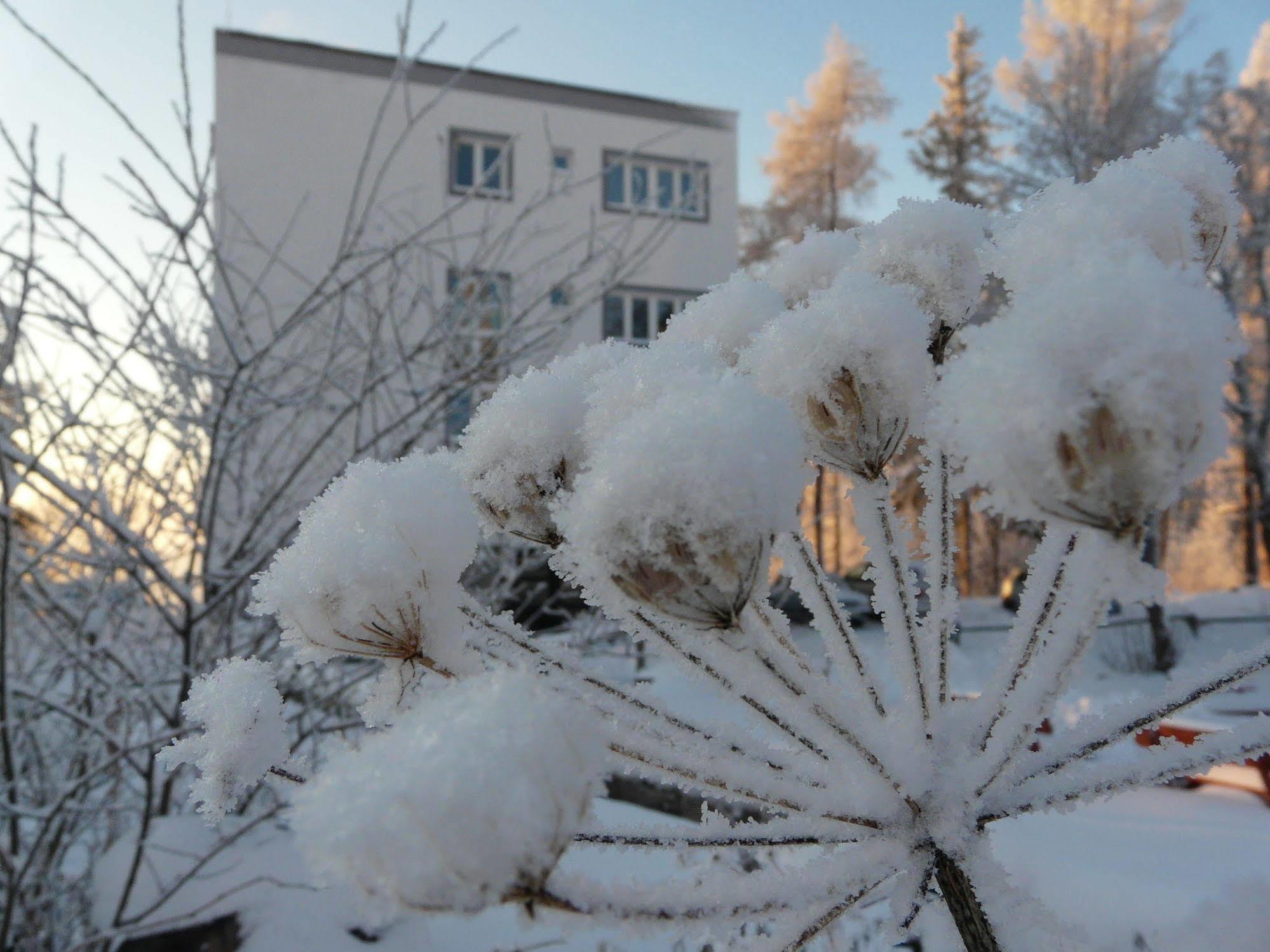 Vila Emma Štrbské Pleso Екстериор снимка